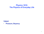 Physics 1010: The Physics of Everyday Life