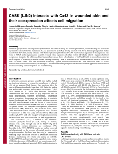 CASK (LIN2) interacts with Cx43 in wounded skin and their