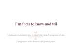 Fun facts to know and tell