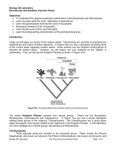 Biology 3B Laboratory Nonvascular and Seedless Vascular Plants