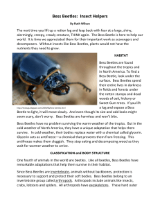 Bess Beetle Book