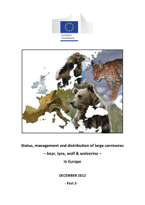 Status, management and distribution of large carnivores