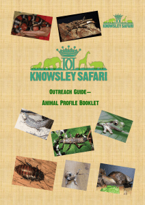 Untitled - Knowsley Safari Park