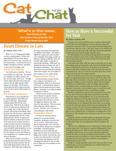 Heart Disease in Cats How to Have a Successful Vet Visit