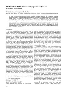 The Evolution of SMC Proteins: Phylogenetic Analysis and Structural