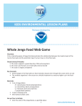 Whale Jenga Food Web Game
