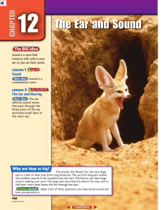 Chapter 12: The Ear and Sound - San Juan Unified School District