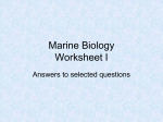 Marine Biology Worksheet I