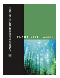 evolution of plants