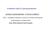 Problems with C3 photosynthesis