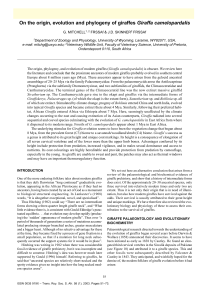 On the origin, evolution and phylogeny of giraffes Giraffa