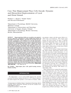 Cues that hippocampal place cells encode