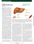 LIGHT Hits the Liver