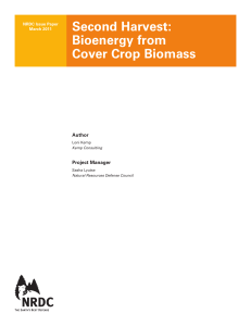 NRDC: Second Harvest - Bioenergy from Cover Crop Biomass