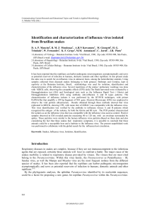 Identification and characterization of influenza virus isolated from