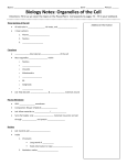 Biology Notes: Organelles of the Cell