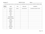 ? Use your lab manual, text book, rock ID booklet and rock