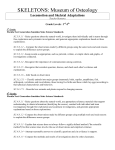 Pre-visit: Locomotion and Skeletal Adaptation