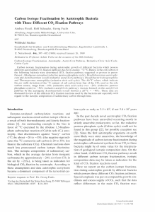 Carbon Isotope Fractionation by Autotrophic Bacteria with Three