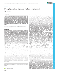 Phosphoinositide signaling in plant development