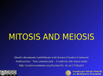 MITOSIS AND MEIOSIS