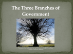 The Three Branches of Government