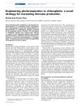 Engineering photorespiration in chloroplasts: a novel strategy for