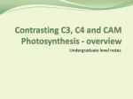 Contrasting C3, C4 and CAM Photosynthesis