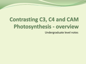 Contrasting C3, C4 and CAM Photosynthesis