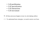 • Cell proliferation • Cell specialization • Cell interactions • Cell
