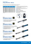 Torque Wrenches - Motorq