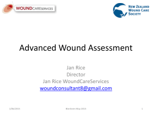 Jan Rice - `Advanced wound assessment`