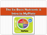 The Six Basic Nutrients and MyPlate