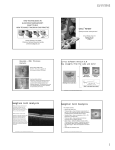 Ganglion Cell Analysis Ganglion Cell Analysis