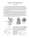 lesson 6: plant reproduction