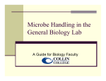 Microbe Handling in the General Biology Lab