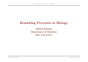 Branching Processes in Biology - Rice Statistics