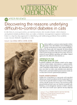Problem cats with diabetes