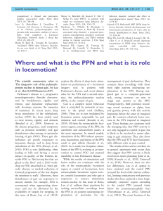 Where and what is the PPN and what is its role in locomotion?