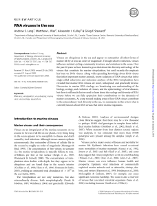 RNA viruses in the sea - Associação Brasileira de Medicina