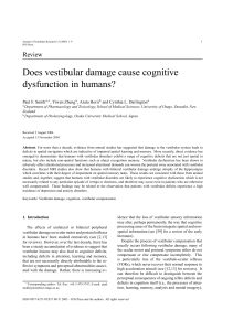 Does vestibular damage cause cognitive dysfunction in humans?
