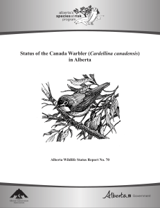status of the Canada warbler in Alberta
