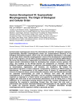 Human Development VI: Supracellular Morphogenesis. The Origin