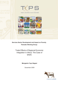 Trade Effects of Regional Economic Integration in Africa: The