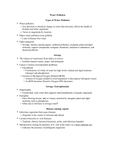 Water Pollution Types of Water Pollution • Water pollution – Any