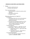 Section 02 Lecture Notes