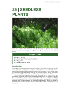 25 | seedless plants