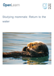 Studying mammals: Return to the water - open.edu