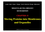 Moving Proteins into Membranes and Organelles Moving Proteins