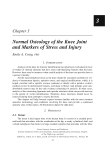 Normal Osteology of the Knee Joint and Markers of Stress and Injury